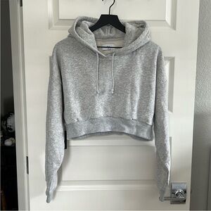 Aritzia Tna Super Crop Hoodie